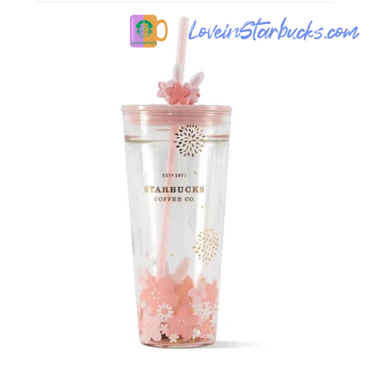 Starbucks Sakura Spring Style Straw Glass Cup Cute Double Layer 12oz C