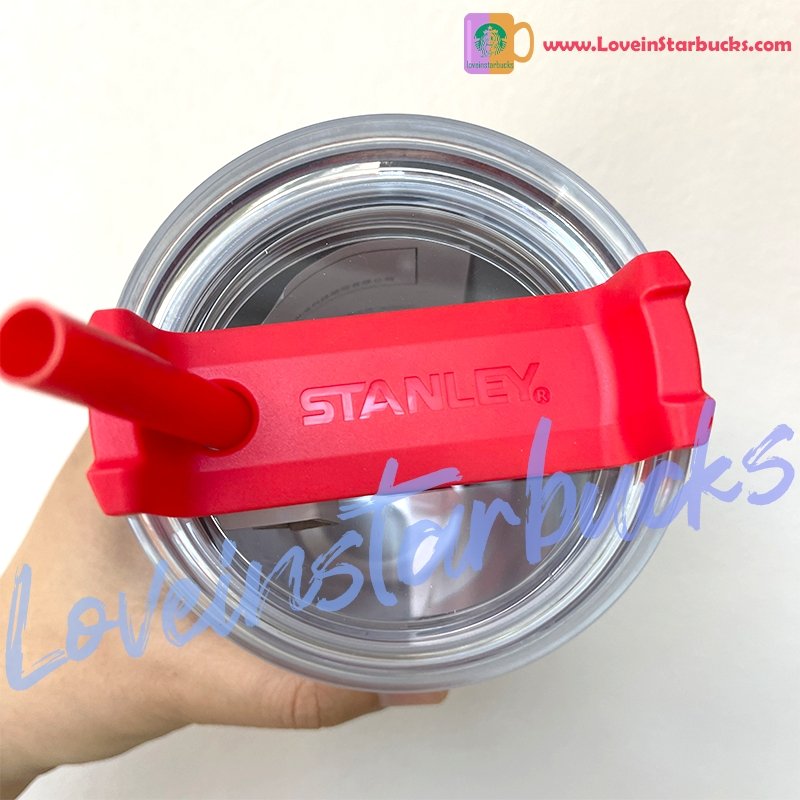 Starbucks Stanley Insulated Box with Plastic Straw Cup & Stainless