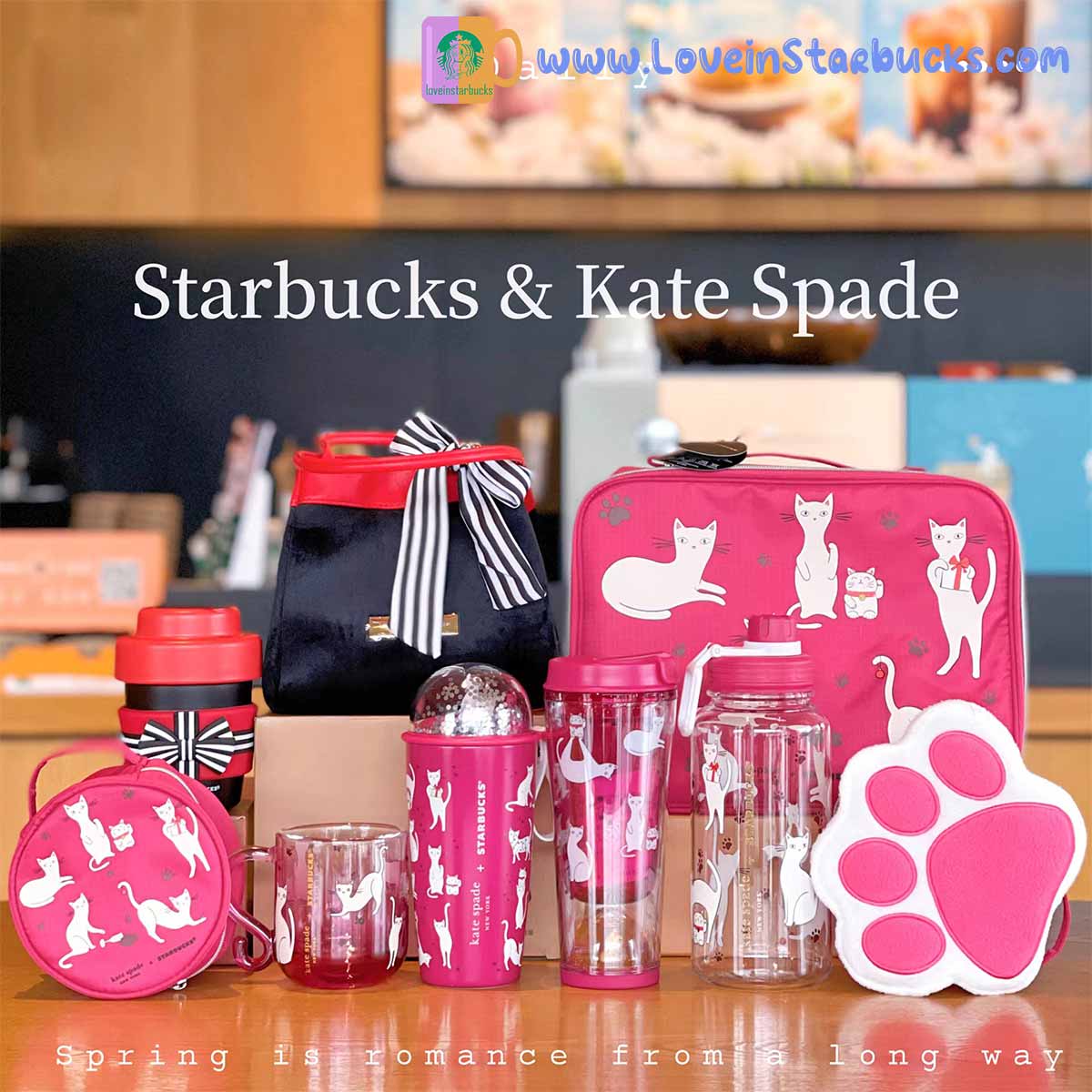 Starbucks 2023 China kate spade co-branded cat