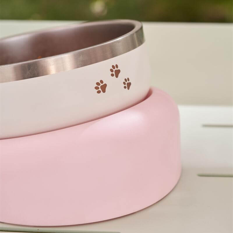 Starbucks China 2024 spring walk series pet bowl