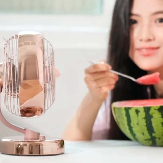 Starbucks Lofree 2024 co-brand USB rechargeable electric fan , cannot ship to APO HI AK address loveinstarbucks loveinstarbucks Starbucks Lofree 2024 co-brand USB rechargeable electric fan , cannot ship to APO HI AK address loveinstarbucks loveinstarbucks