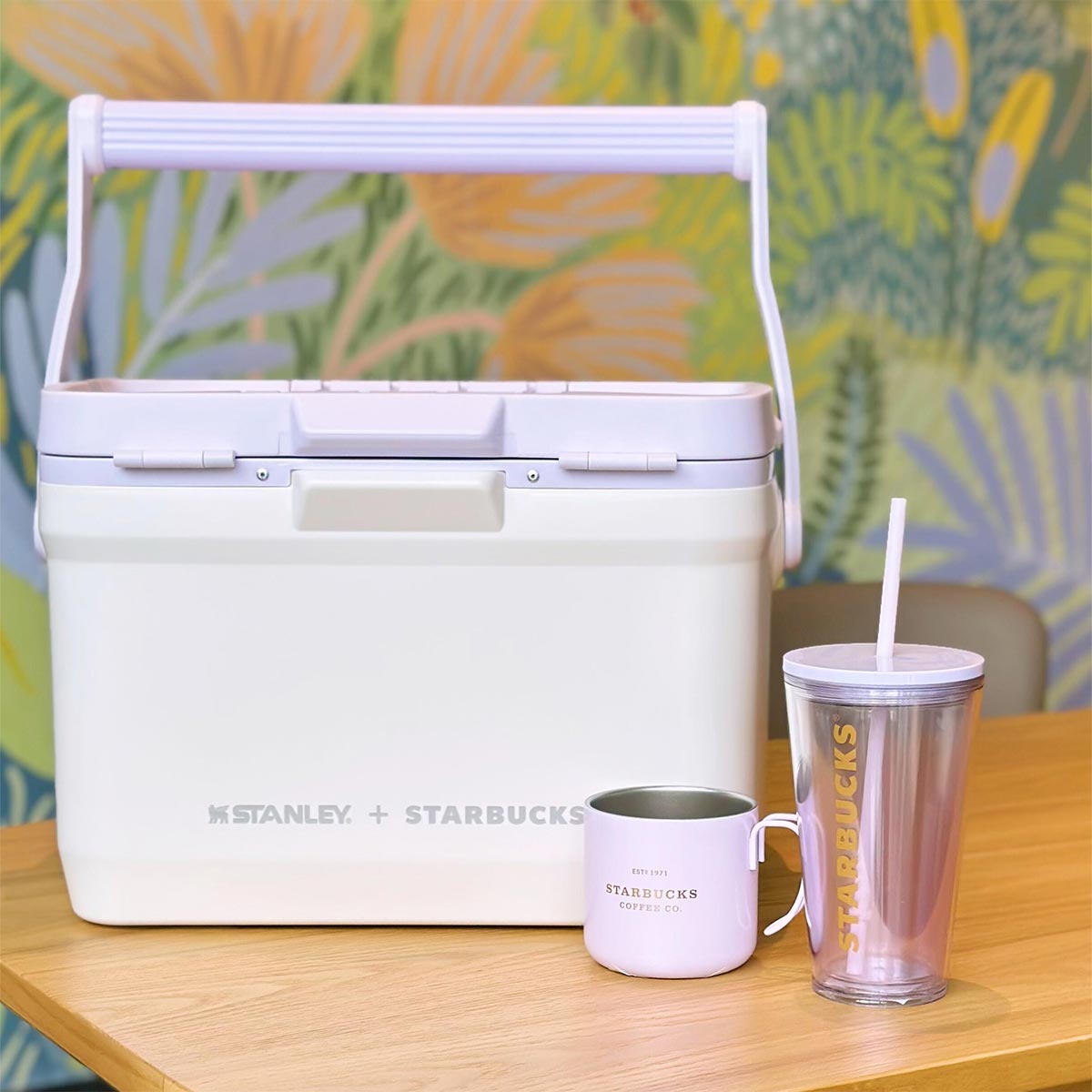 Starbucks Stanley Insulated Box with Plastic Straw Cup & Stainless