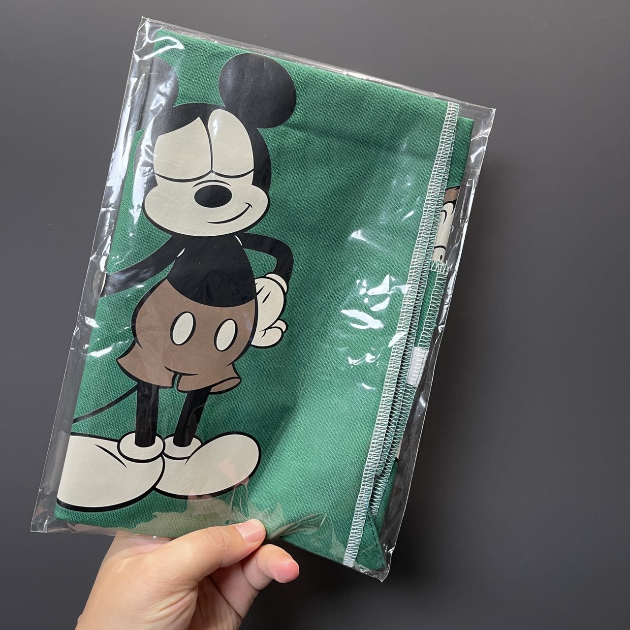 Starbucks Disney co-branded Green fabric poster