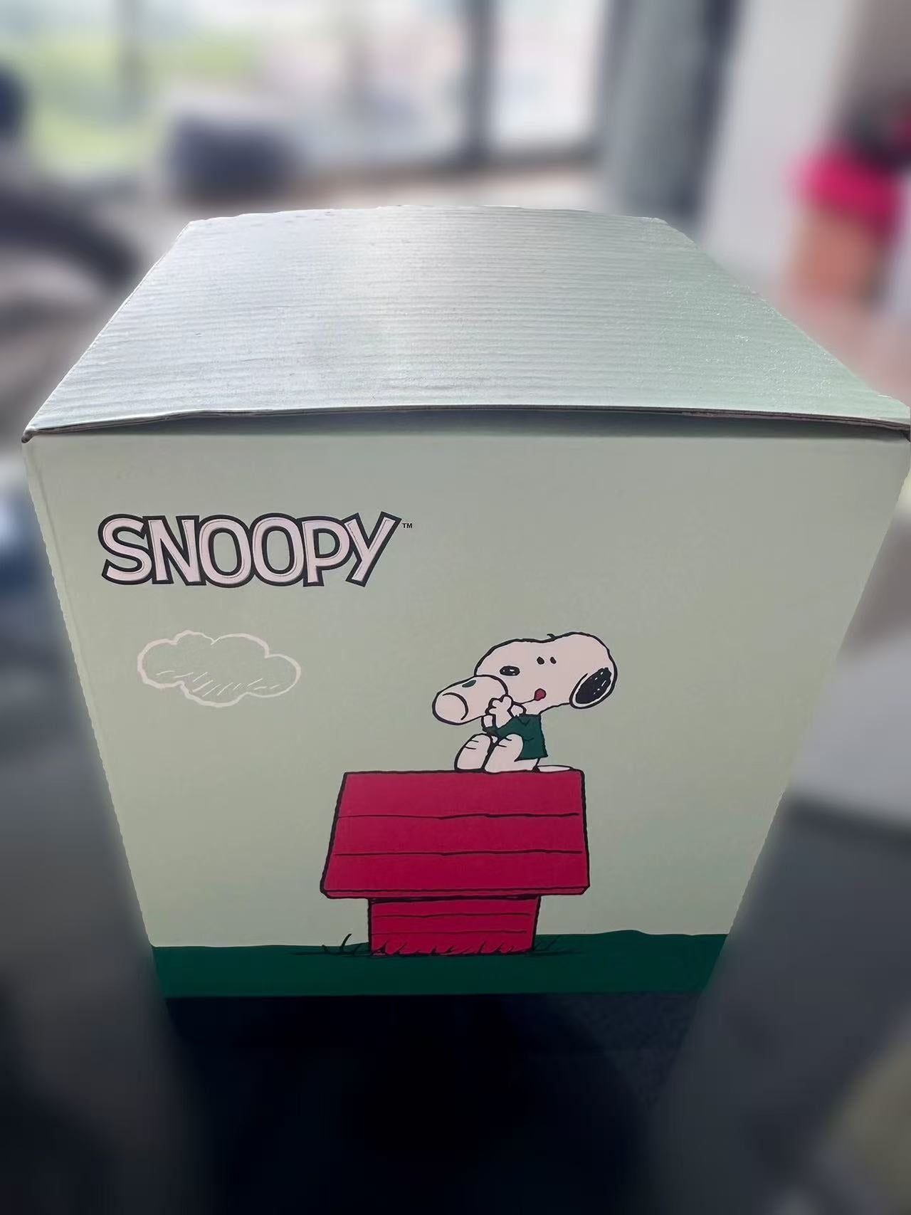 Starbucks China 2025 Peanuts Snoopy co-brand Storage Box