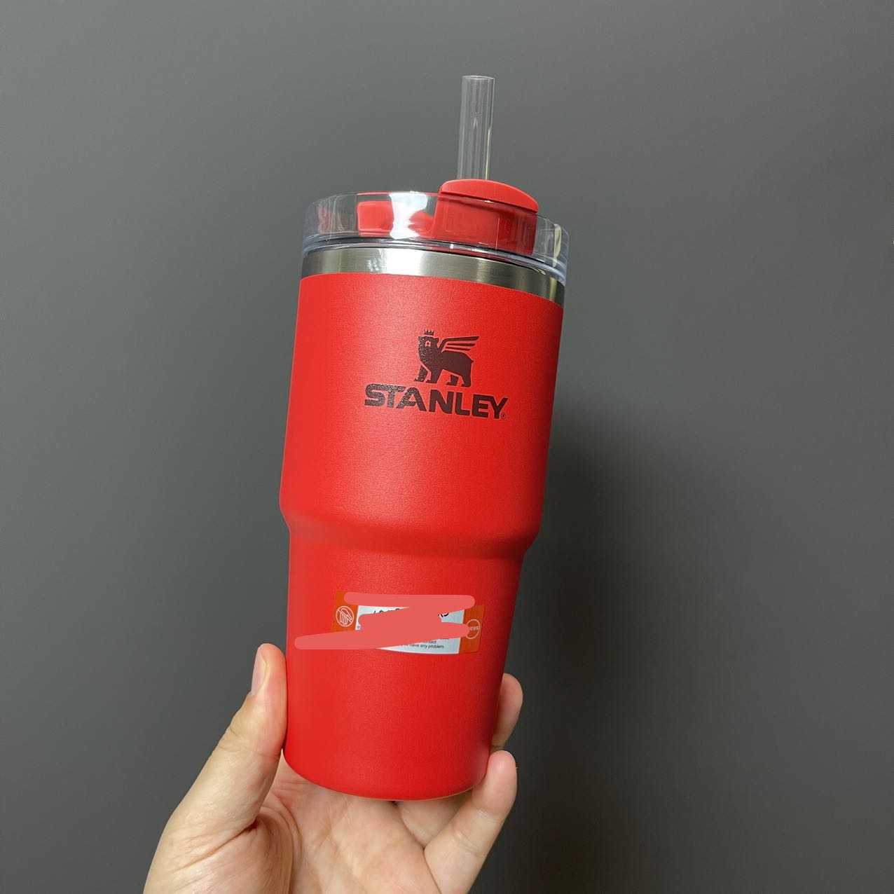 tiny flaw Stanley Lava Stainless steel cup 20oz