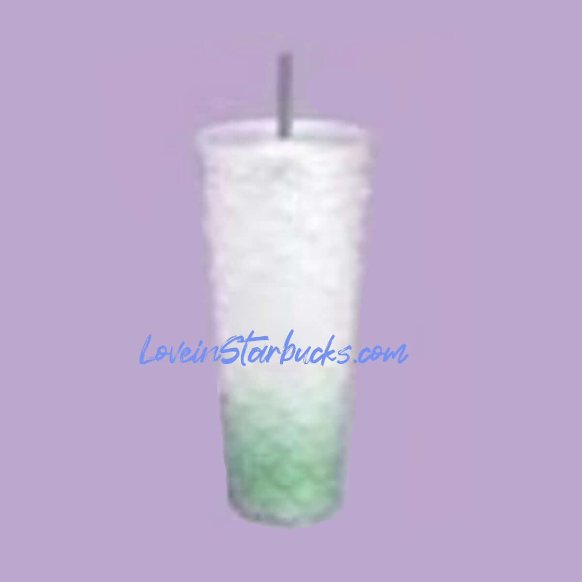 Starbucks Taiwan 2024 Kangqiao store limited Sparkling scale green white Ombre straw Cold Cup 24oz