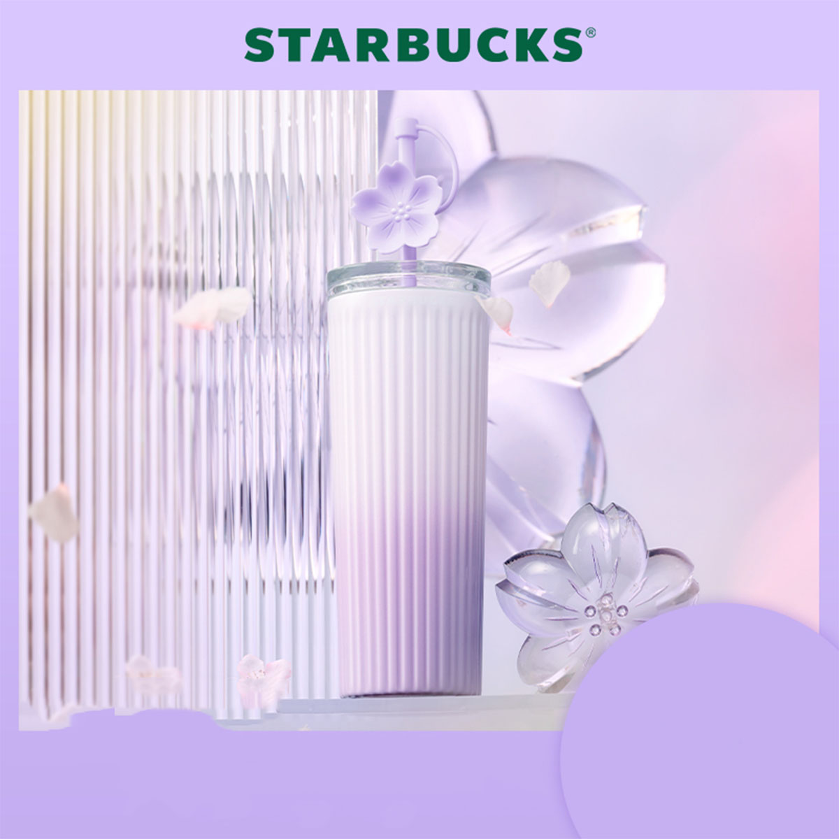 Starbucks China 2024 purple Ombre stripe straw cup 473ml coming with flower topper
