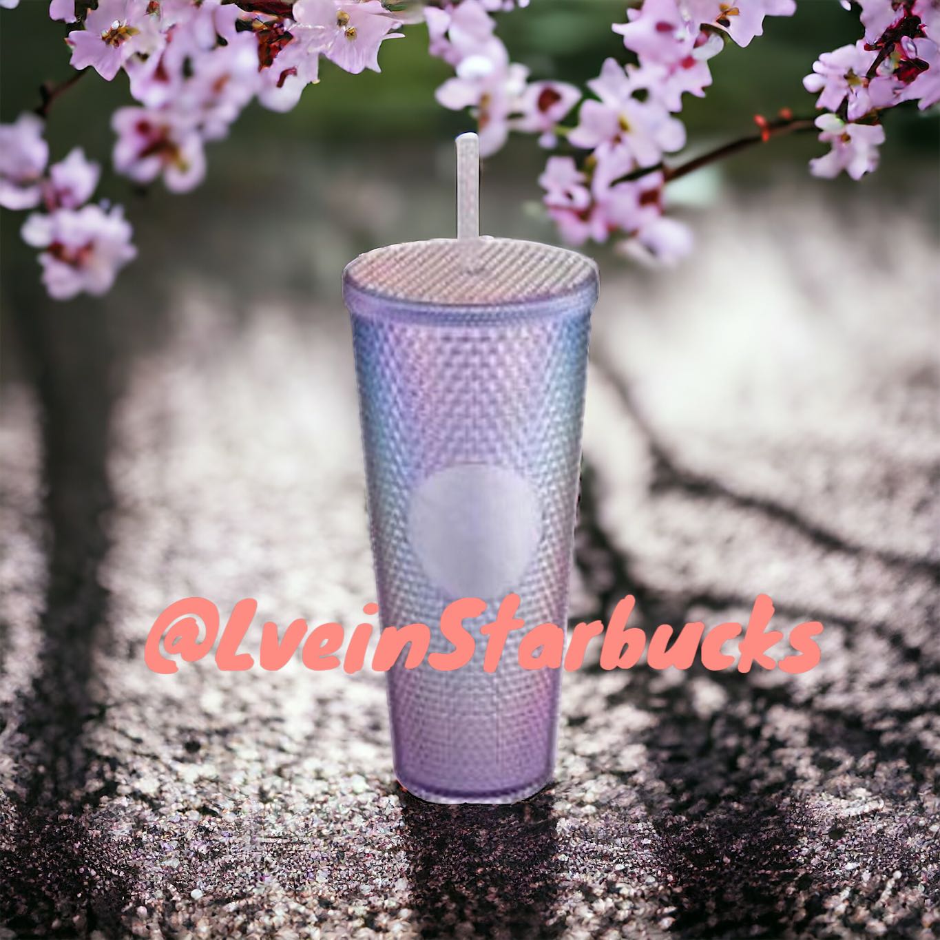 Starbucks Taiwan 2024 Sakura series Colorful studded straw cup 24oz