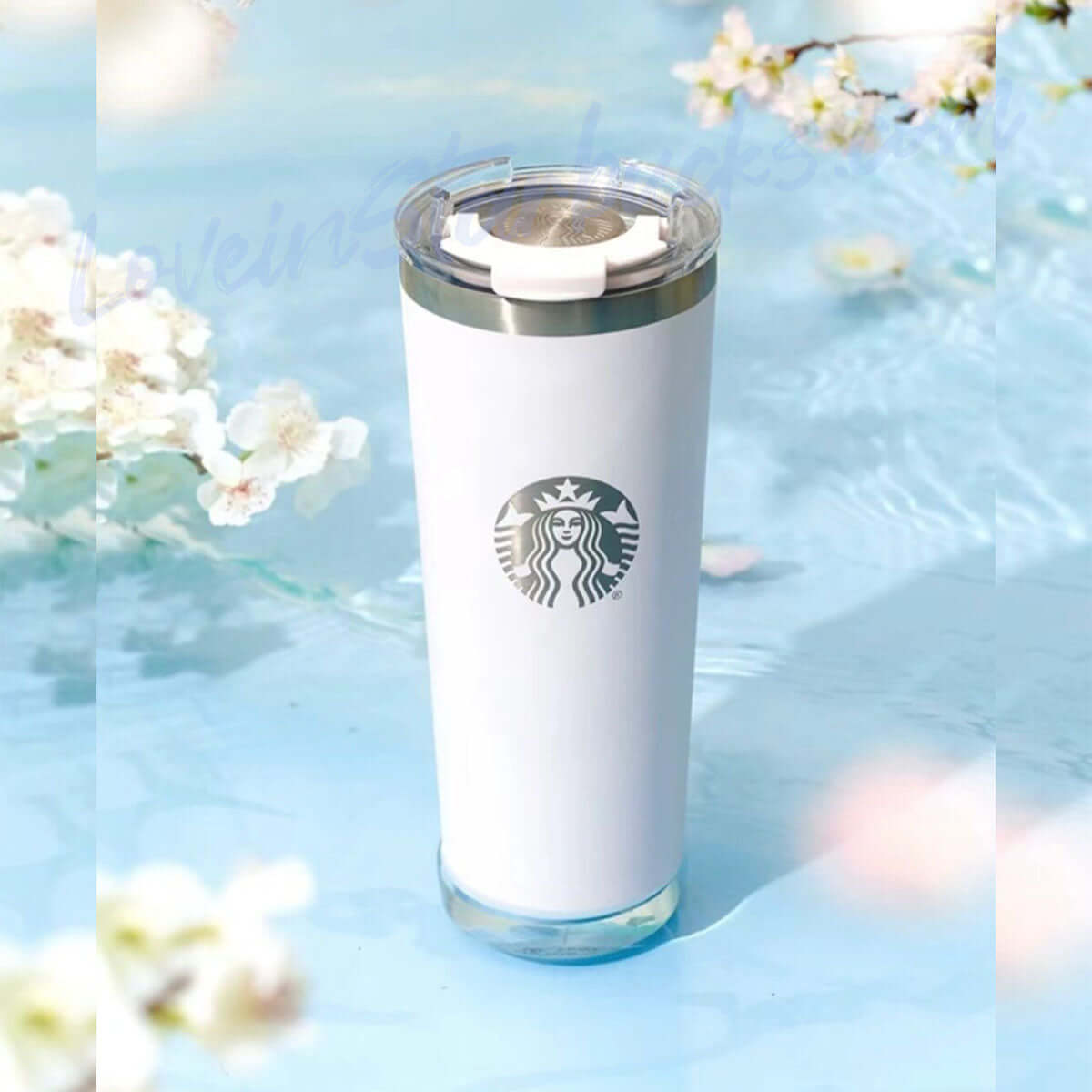 Starbucks China 2024 Sakura online Stainless steel table cup 591ml