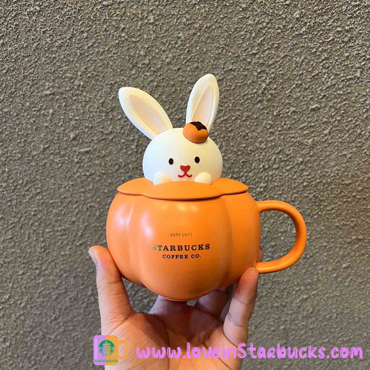 Starbucks tumblers China 2023 Lucky Rabbit new year cute bunny mug 355