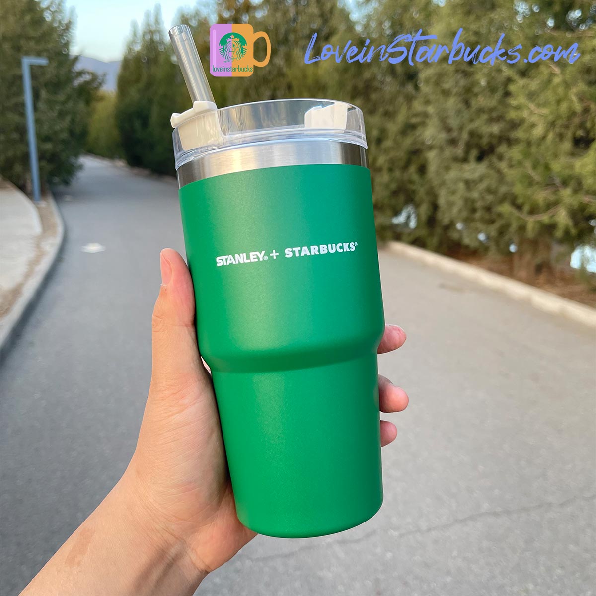 Starbucks tumblers Korea Stanley Green Stainless Steel Straw Cup 20.8oz