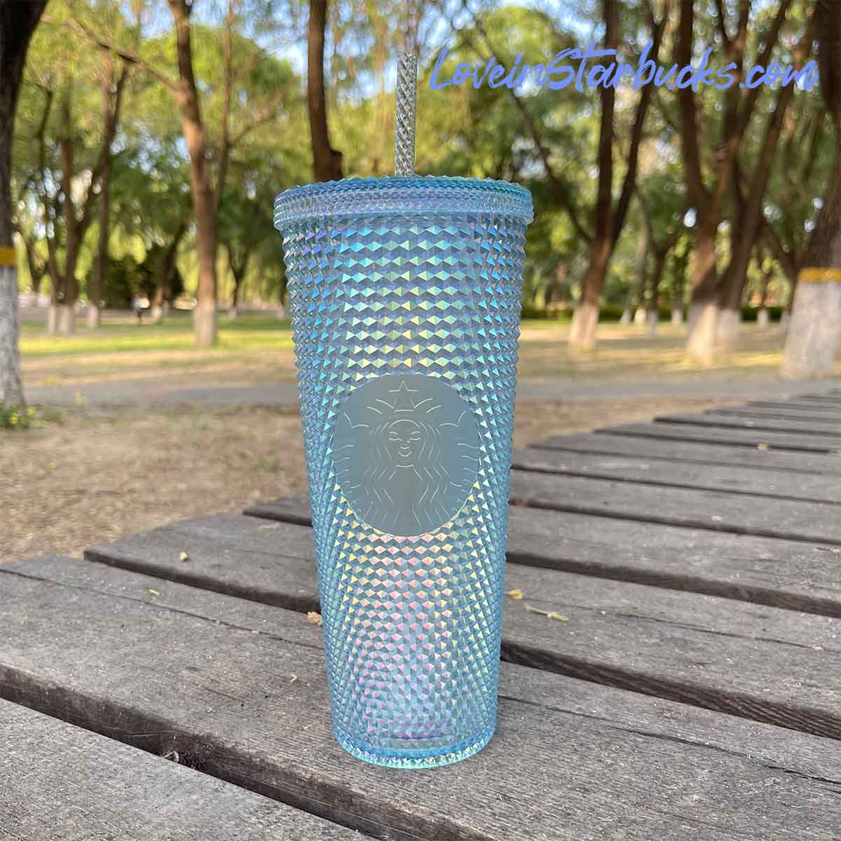 Starbucks Indonesia Soft Pink & ICY Blue 24oz studded straw cups