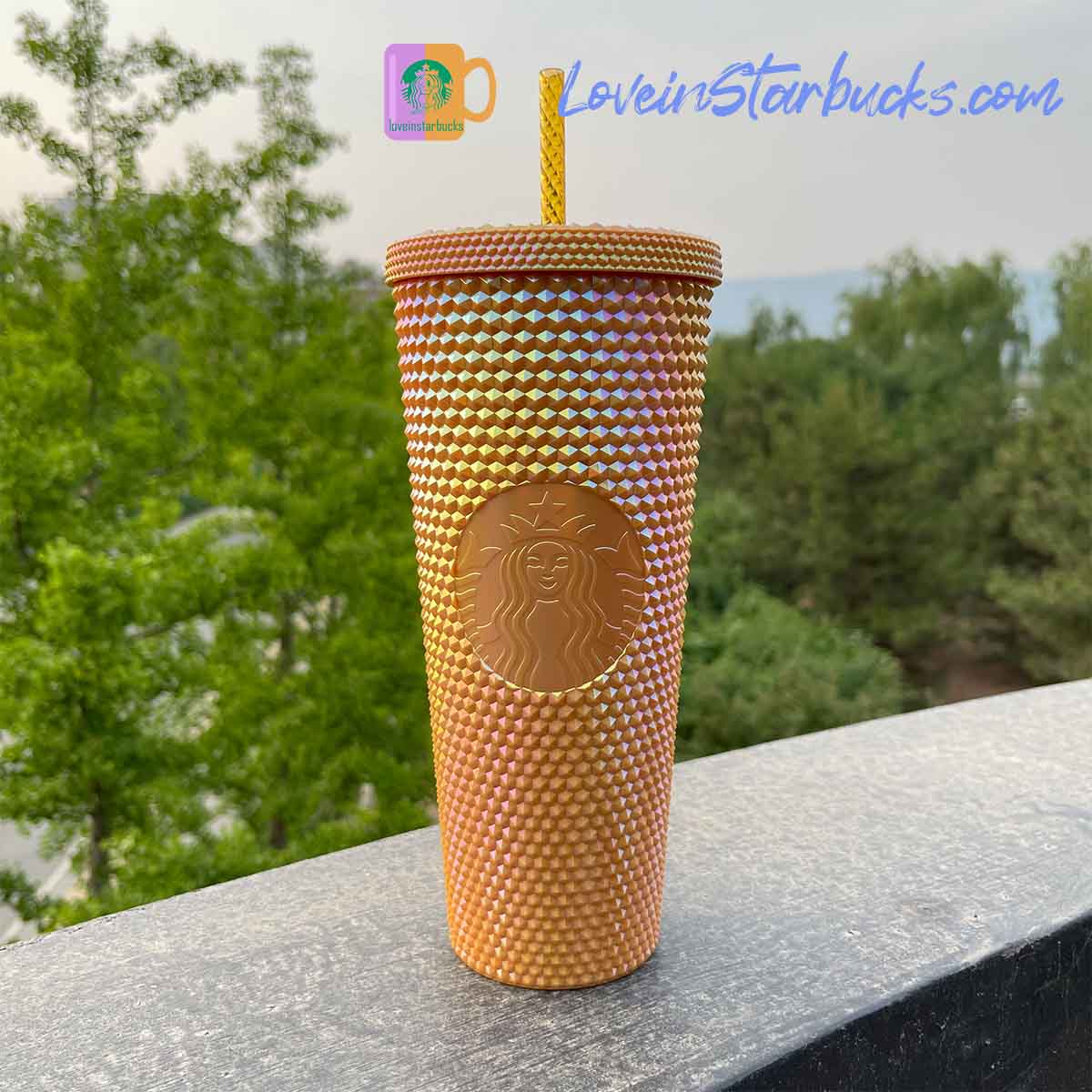 Starbucks Tumblers Indonesia 2023 Turquoise Mustard and Pistachio studded straw cup 24oz