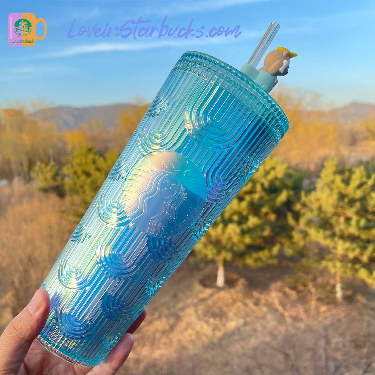 Starbucks Taiwan tumblers bear top-per mint scale cold straw cup 24oz