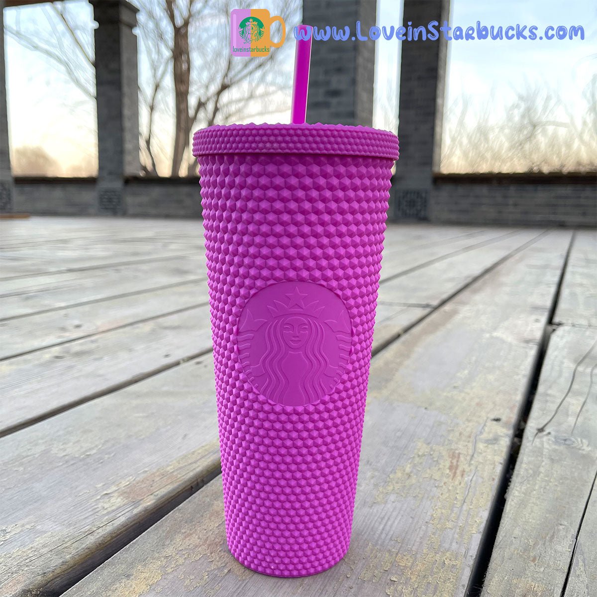 promotion Starbucks Taiwan purple matte straw studded cup 24oz - loveinstarbucks