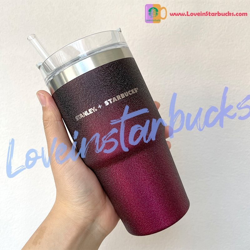 Starbucks China 2021 Halloween 20.8oz Stanley Dark Night Stainless Steel Straw Cup - loveinstarbucks